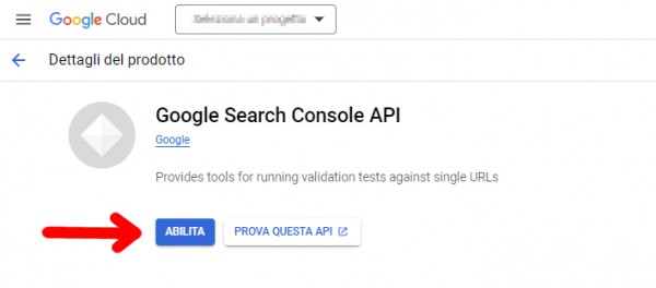 Search Console - Abilita API